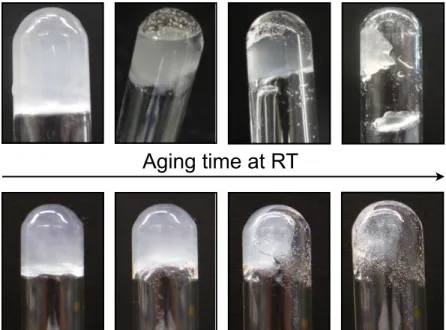 Figure 44:  Digital  photographs of a  MGS  I  gel  from  ETAC  (top) and  of a  MGS  II  gel  from  DCM  (bottom) over the time.