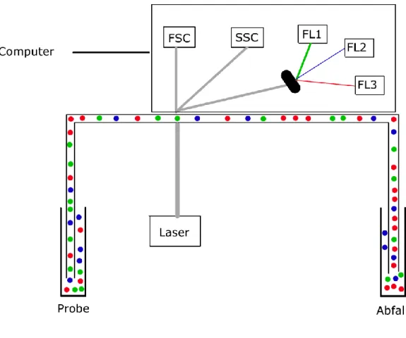Abbildung 9 Schema eines Durchflusszytometers 