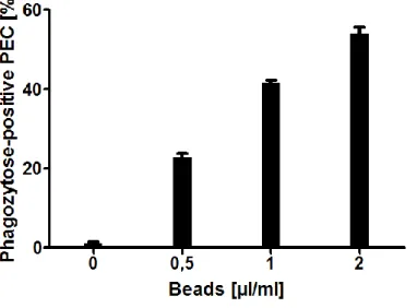 Abbildung 16 Phagozytose von FITC-Beads durch PEC; Phagozytosezeit 2h, 0,5 Mio. PEC in 1ml in 24-well Platte  