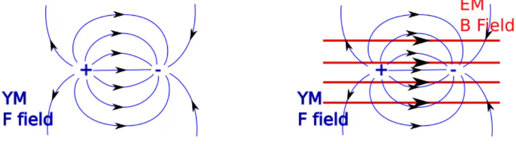 Figure 3.5: Left: schematic chromomagnetic field-lines of a monopole–anti-monopole pair Right: the same in the external magnetic field.