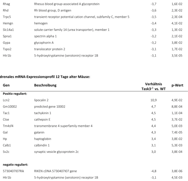 Tabelle 1: mRNA‐Expression in Nebennieren neugeborener Wildtypmäuse und Task3 ‐/‐  Mäuse (1d, 12d) 