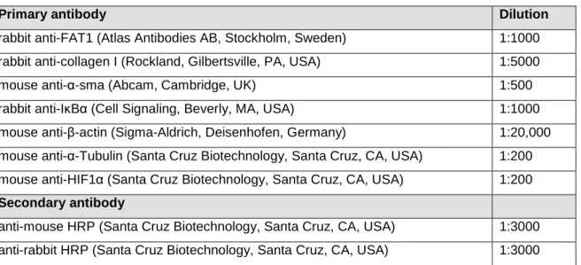 Table 3.4 Used primary and secondary antibodies for Western Blot analysis 