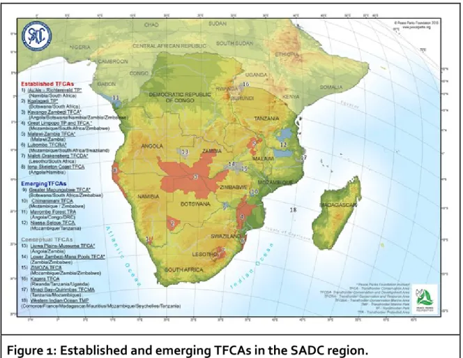 Figure 1: Established and emerging TFCAs in the SADC region. 
