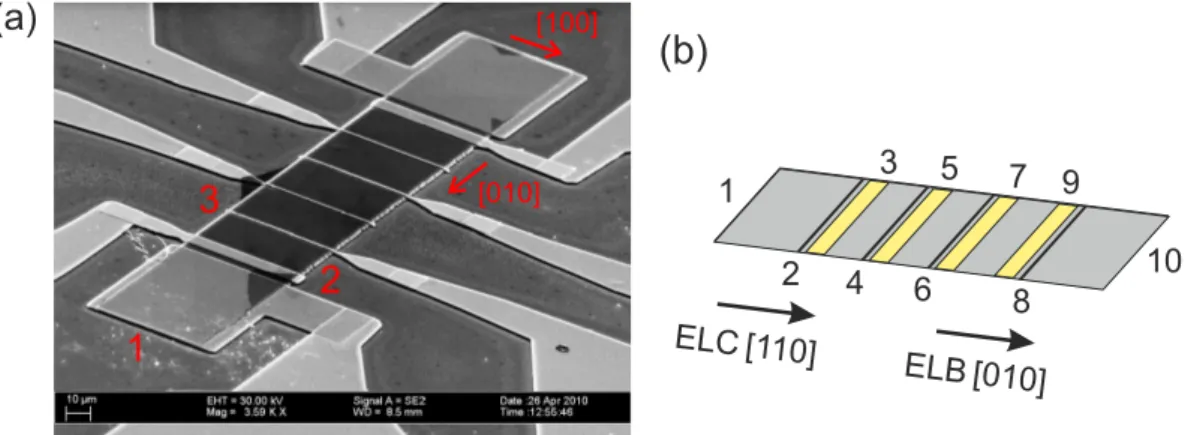 Figure 4.2: (a) Scanning electron microscope (SEM) picture of the contact structure of sample ElA