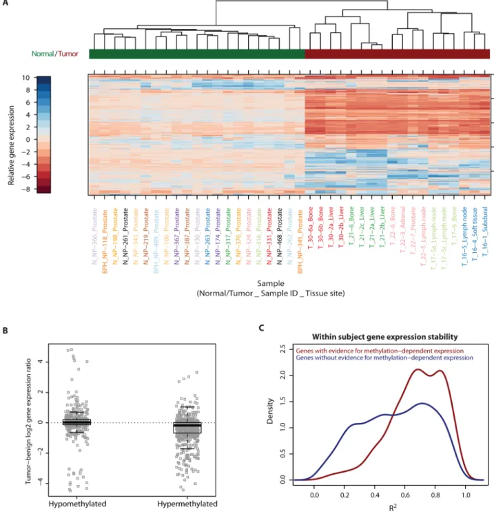 Figure 4. Gene expression patterns show high within-subject maintenance and correlation with DNA hypermethylation
