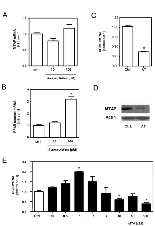 Figure  8.    Regulation  of  MTAP  expression  and  MTA  effects  on  hepatocytes.    (A,B)  MTAP  and  PPAR-gamma  mRNA expression  in  murine  hepatocytes  treated  with  5-azacytidine  (10µM  and  100µM)