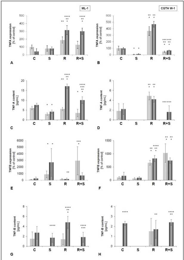 Fig. 3. Gene expression of TNFΑ (A, B) and TNFB (E, F) in ML-1 (A, E) and CGTH W-1 (B, F) cells