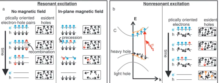 Figure 2 (a) Diagram of the combined spin and recombination dynamics for resonant excitation with (right panel) and without (left panel) an applied magnetic field