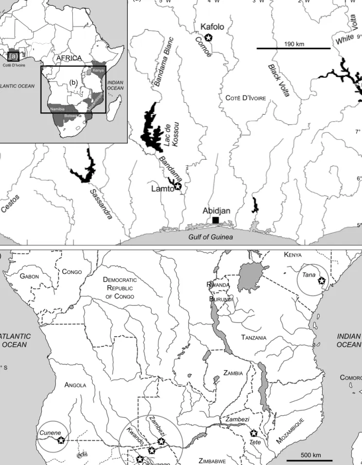 Figure 2: Maps of the collection sites for Mormyrus species used in this study: (a) West Africa with Côte d’Ivoire centred, showing locations  Kafolo and Lamto; (b) East and southern Africa: the sampling locations on the Cunene River (Ruacana Falls, Namibi