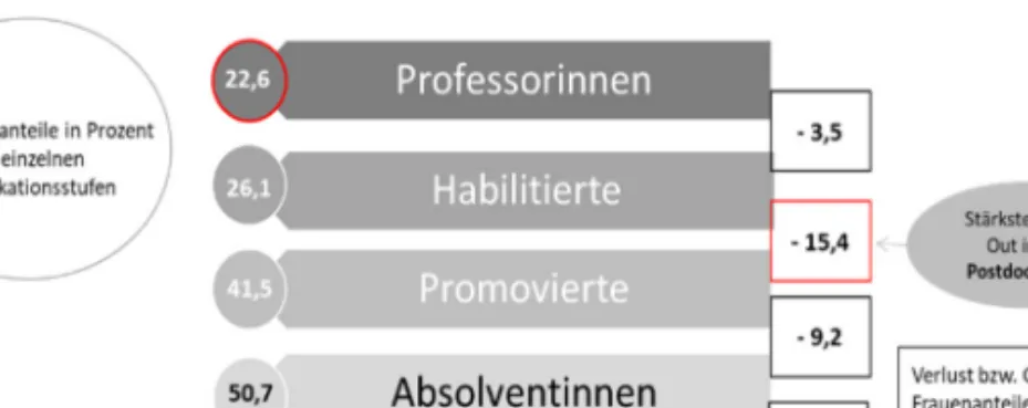 Abbildung 2-1: Frauenanteile auf den einzelnen Qualifikationsstufen an  Hochschulen in Trägerschaft des Landes NRW, im  Dreijahresdurch-schnitt (2012-2014)