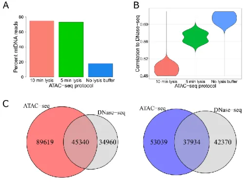 Figure 11: Generating ATAC-seq libraries without the usage of lysis buffer increases agreement with  DNase-seq