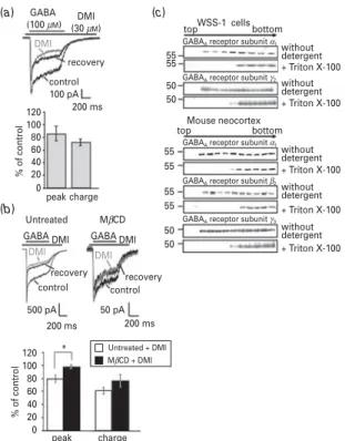 Fig. 5. Potentiation of GABA-evoked chloride currents by diazepam (Diaz) and membrane distribution of Diaz