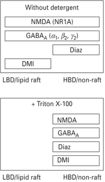 Fig. 7. Schematic diagram showing the distribution of receptors and compounds in lipid raft and non-raft membrane fractions of sucrose gradients