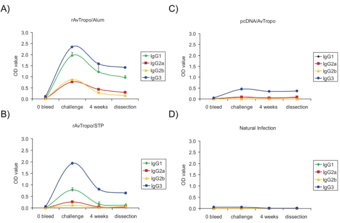Figure 11. Specific anti-rAvTropo IgG antibody subclasses in sera of vaccinated animals as measured by ELISA in groups of  experimental jirds within the period of vaccination trials