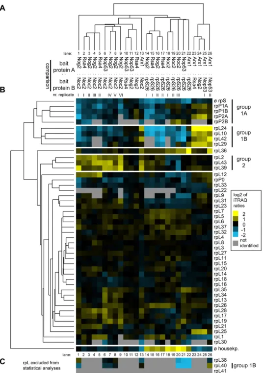 Figure 4.  Comparative analyses of the LSU r-protein content in various affinity purified LSU (precursor) particles by semi- semi-quantitative mass spectrometry