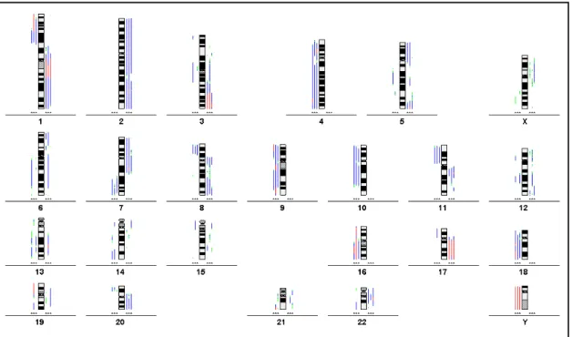 Abbildung 4d: Liniendiagramm des Falles 481 mit Primärtumor, Nebennierenmetastase, Großhirnmetastase und Kleinhirnmetastase