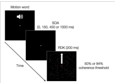 FIGURE 1 | A trial of the main experiment. An auditory verb denoting upward or downward motion is followed by a random dot kinematrogram (RDK) presented for 200 ms