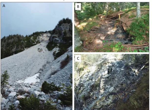 Fig. 3 Potoška  planina landslide  is subjected to  dif-The broader area of the Potoška planina landslide is known to have experienced severe debris-flow  events in the recent geological past