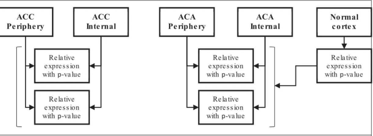 Figure 46. Projected scheme of further research on FFPE derived tumorous material. 