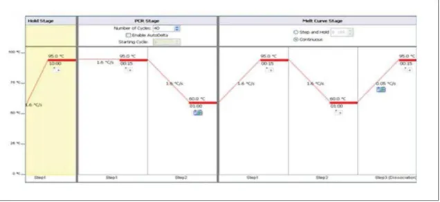Figure 15. Scheme showing the amplification cycling ViiA 7 Real-Time PCR System setup  instructions for RT² Profiler PCR Arrays (Taken from ViiA™ 7 Software, v