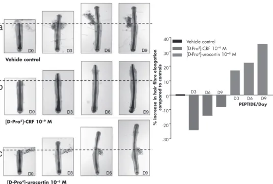 Figure 10. Effects of CRF (b) and CRF-related peptides (c) on human scalp hair fiber elongation at day 0 (D0), day 3 (D3), day 6 (D6), and day 9 (D9) and compared with hair follicles grown in the vehicle control (a)