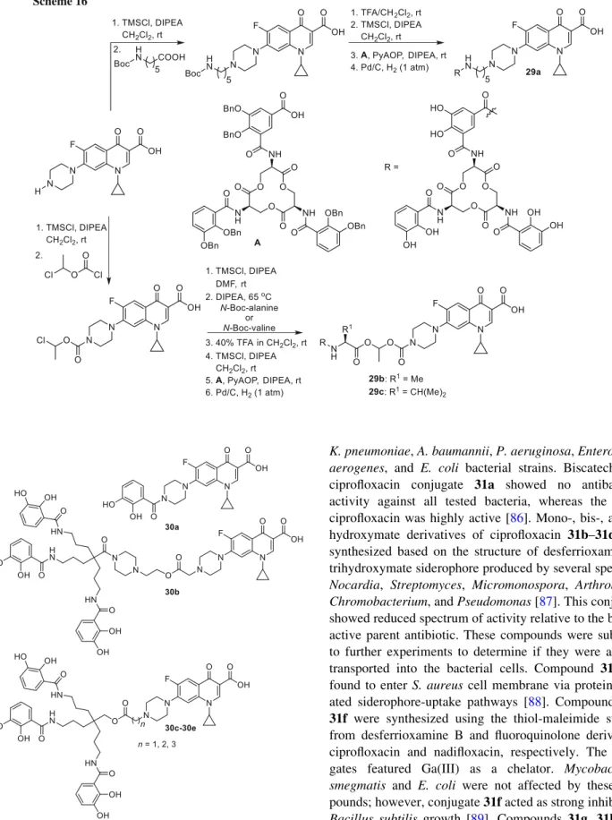 Fig.  8  Structures of catecholate–ciprofoxacin  conjugates 30a–30e 