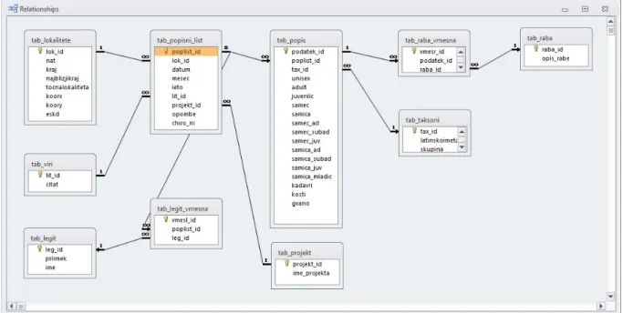 Slika 4: Logična struktura podatkovne zbirke. 