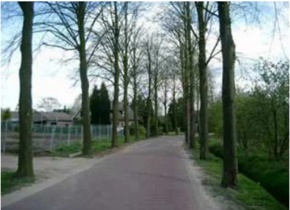 Foto historisch groen (Cultuurhistorisch Waardenkaart, provincie Noord-Brabant 2010).  