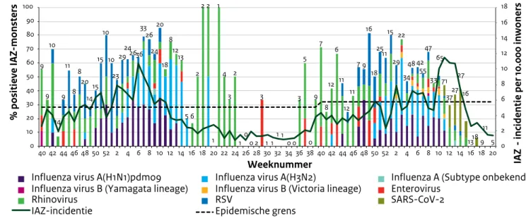 Figuur 2.3. Wekelijkse percentage monsters positief getest voor een selectie van respiratoire virussen, afgenomen bij  huisartspatiënten met influenza-achtig ziektebeeld (IAZ), en de IAZ-incidentie per 10.000 inwoners, van week 40-2018   tot en met week 20