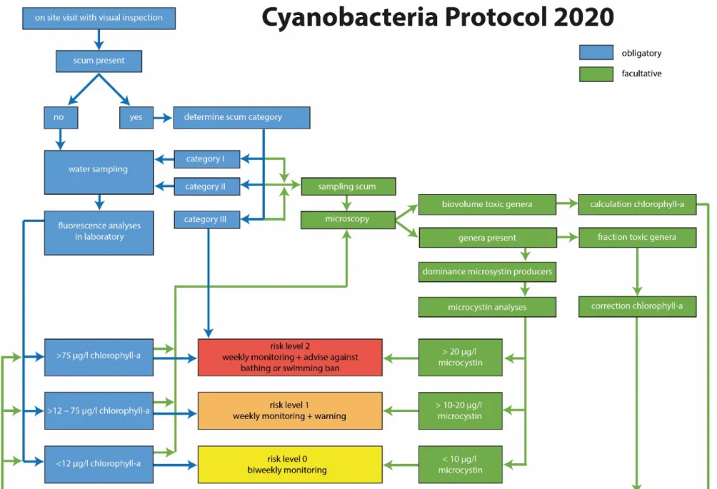 Figure 1 Cyanobacteria Protocol 2020 scheme – blue route = obligatory, green route = facultatively  