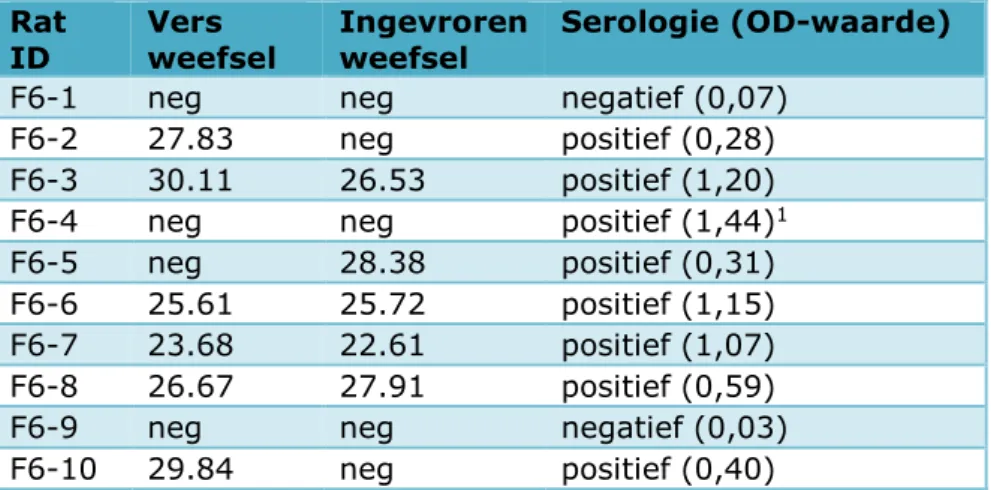 Tabel 1. Overzicht van de seoulvirus RT-PCR resultaten op vers versus 
