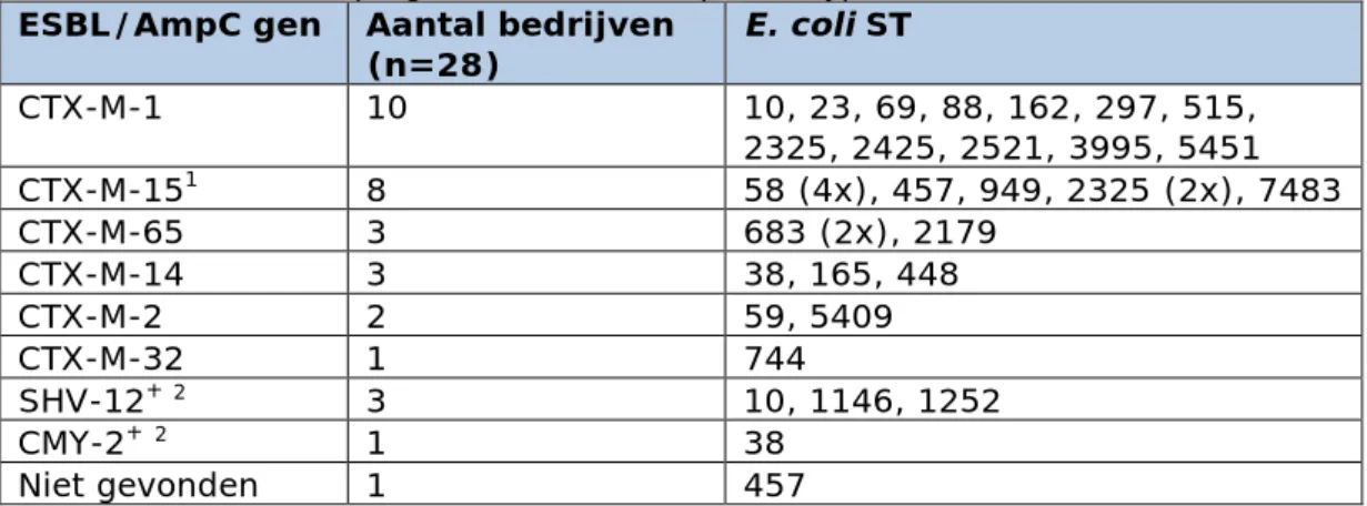 Tabel 6 Typering van bevestigde ESBL-producerende E. coli geïsoleerd uit  rundermest: ESBL/AmpC genen en E
