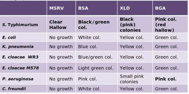 Table 4.1. Growth characteristics of micro-organisms on MSRV, BSA, XLD and  BGA agar plates