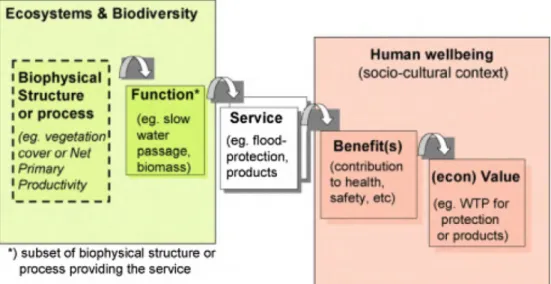 Figure 1.1. The ecosystem service cascade (Haines-Young &amp; Potschin, 2010).  