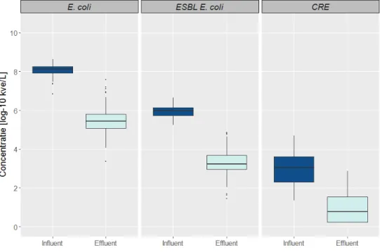 Figuur 4. Concentraties van totale E. coli, ESBL-producerende E. coli en 