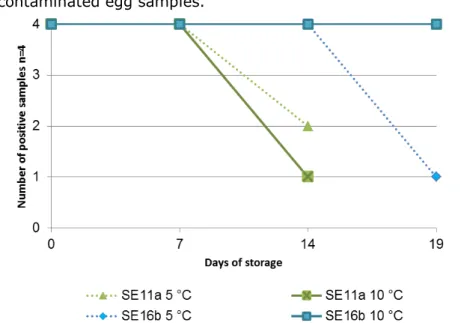 Figure 1. Stability test of liquid egg samples (n=4) artificially contaminated with  two different strains of Salmonella Enteritidis (SEa and SEb) at low levels of 11  and 16 CFU/25g 