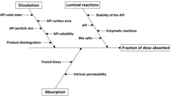 Figure 3.3.1:   Biopharmaceutic processes that may be modulated by excipients 