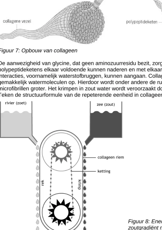 Figuur 8: Energiewinning uit een  zoutgradiënt met de  Katchalsky-machine 