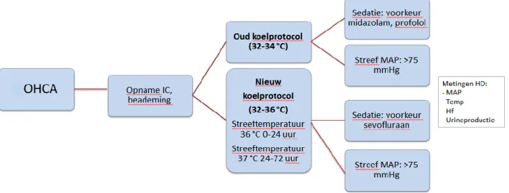 Figuur 1. Algoritme milde hypothermie koelprotocol versus target temperature  managementprotocol na OHCA in VieCuri MC Venlo op de intensive care 