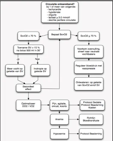 Figuur	1.	Circulatie	Protocol	Intensive	Care	Erasmus	Medisch	Centrum		 	