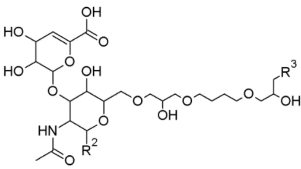 Figure 4.2: Structure of a BDDE modified HA fragment. R 2  and R 3  represent an  HA fragment or a terminal alcohol
