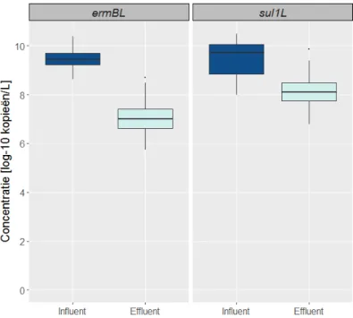 Figuur 4-4. Concentraties van de resistentiegenen ermB (links) en sul1 (rechts)  in influent (donkerblauw) en effluent (lichtblauw) van RWZI’s