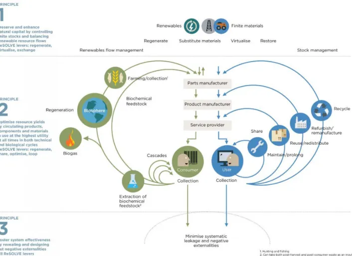 Figure 2. The three principles of the  circular economy shown for the  technical (blue) and biological  (green) cycles, taken over from the  Ellen MacArthur Foundation