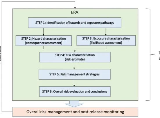 Figure 6. Six steps of environmental risk assessment (ERA) as presented in  (EFSA, 2013) 2  and interpreted from Directive 2001/18/EC (2001) 1 