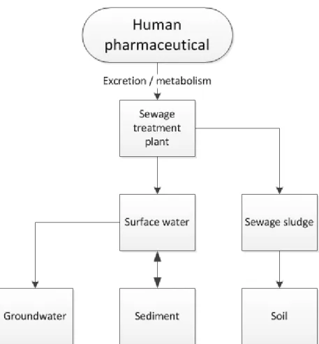 Figure 1 Routes that are taken into account in the environmental risk  assessment for marketing authorisation for human pharmaceuticals (for  guidance see EMA, 2006)