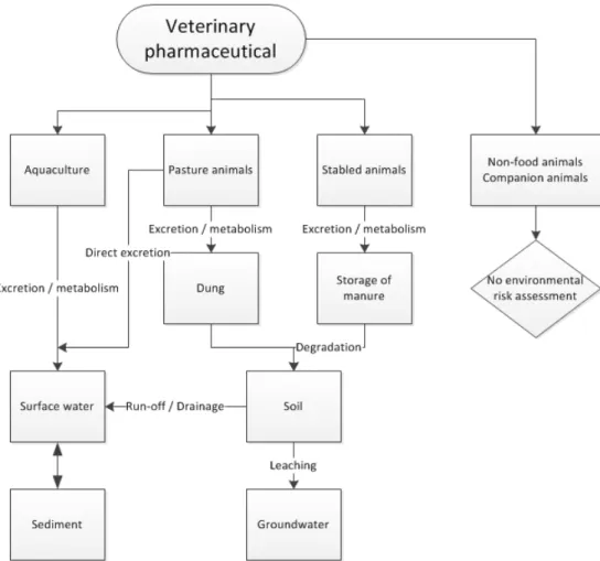 Figure 2 Routes that are taken into account in the environmental risk  assessment for marketing authorisation for veterinary pharmaceuticals (for  guidance: see EMA, 2005)