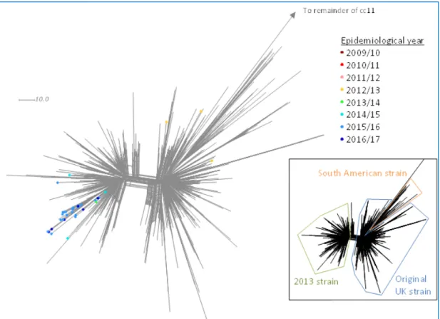 Figure 12 Neighbour-net phylogenetic network based on a comparison of 1546  core genome loci of MenW:cc11 South American strain sublineage isolates by  epidemiological year in the Netherlands, 2009-2010 to 2016-2017*