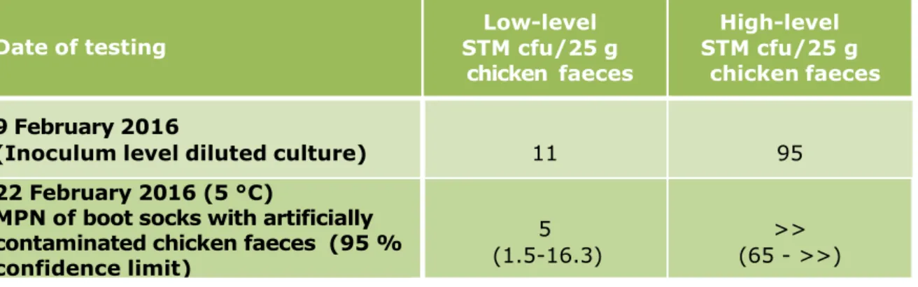 Table 4. Salmonella Typhimurium (STM) concentration in inoculum culture and in boot sock  samples with contaminated chicken faeces
