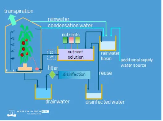 Figure 1-1 gives a schematic overview of the water fluxes in a soilless  growing system