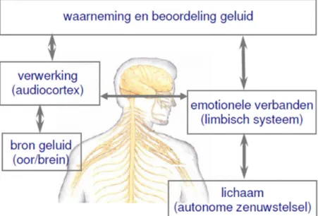 Figuur 6. Model van de verwerking van geluid, gebaseerd op het model van  Jastreboff (Hazell, 2002)